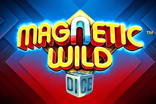 Magnetic Wild Dice